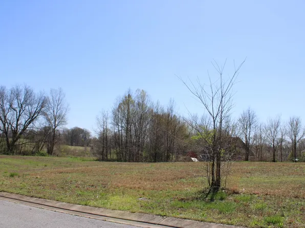 LOT 10 Stone Brook Cv, Ripley, TN 38063