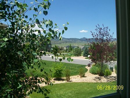 View out Bedroom Window