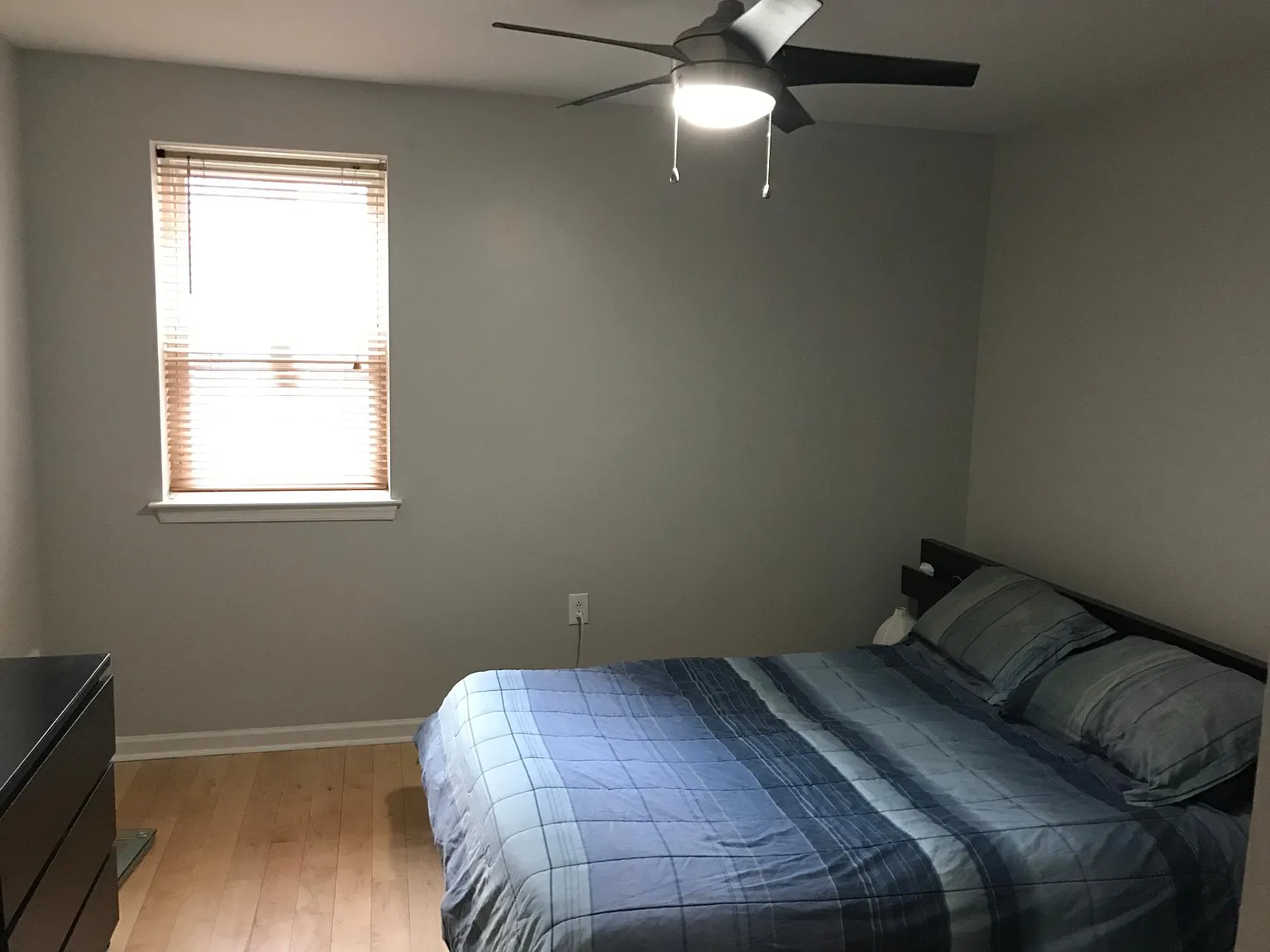 1 bed, 804 sqft, $1,675 — Photo 3