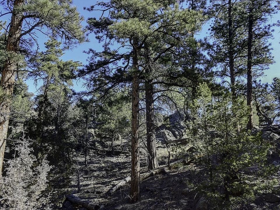 1st image of 700 Wilderness Ln