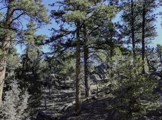 700 Wilderness Ln, Cotopaxi, CO 81223