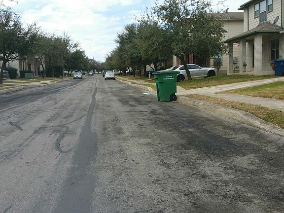 5th image of 4955 Ancient Elm