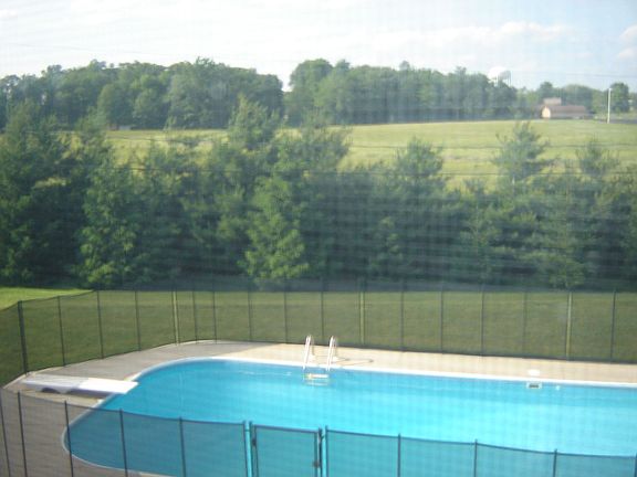 Pool and back yard
