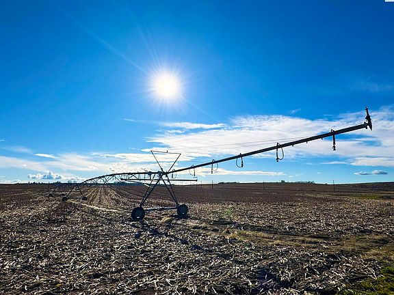 5th image of Nka Albany Rd