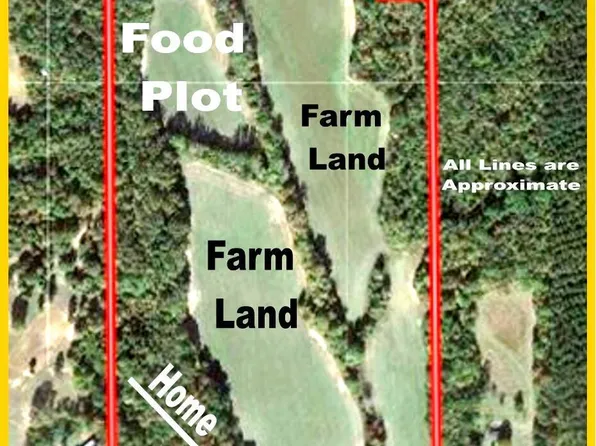 14456 6th Hwy, Thaxton, MS 38871