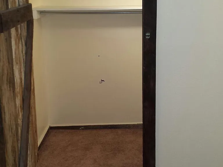 Den w/ Large closet