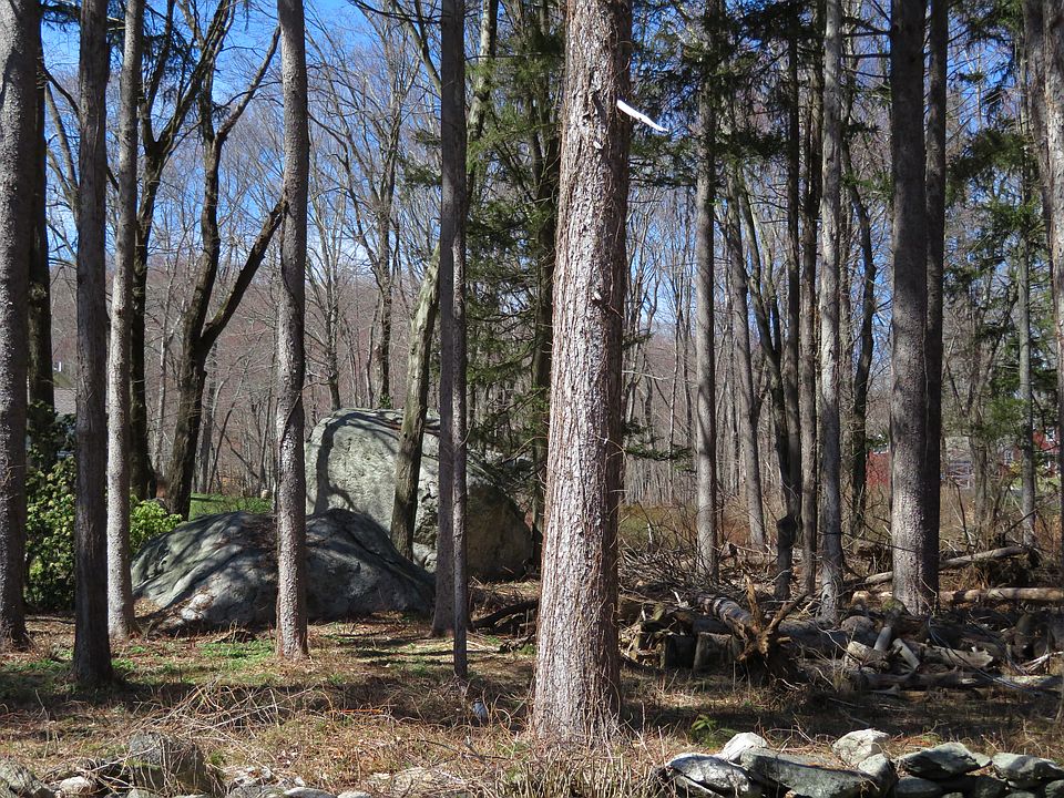 74 Godfrey Road West