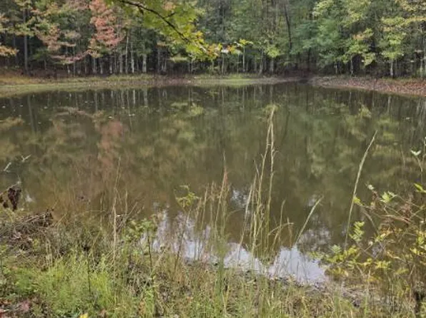 100 County Rd, Walnut, MS 38683