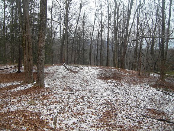 2nd image of 0 Pine Dr