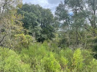 0 NE 102nd Ct, Bronson, FL 32621