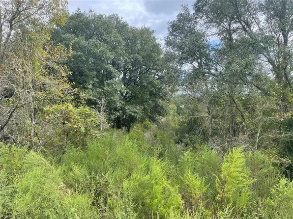 0 NE 102nd Ct, Bronson, FL 32621