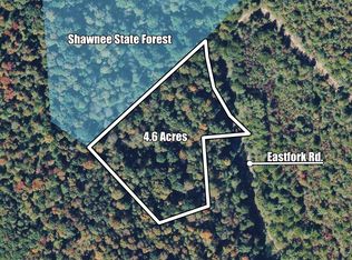 0 E Fork Rd, Stout, OH 45684