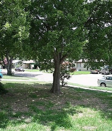 4th image of 1309 Missouri Ave