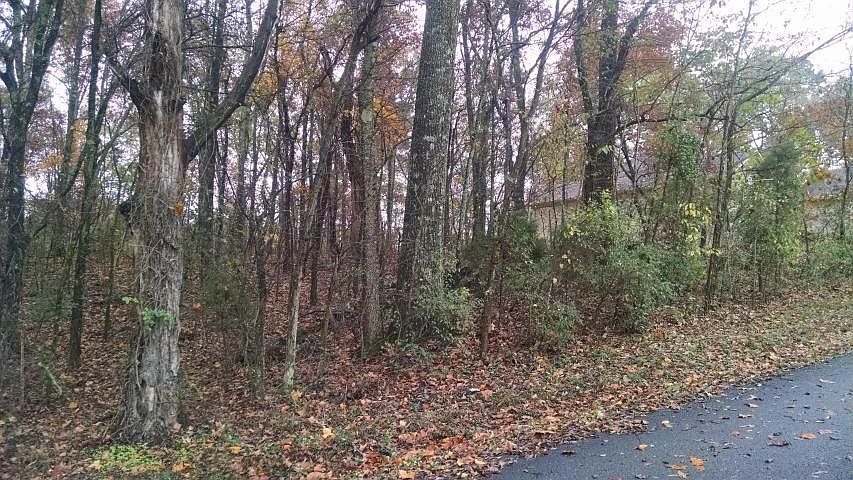 2nd image of 109 Alichanoska Ln
