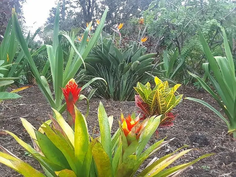 92-1766 Hukilau Dr — Photo 20
