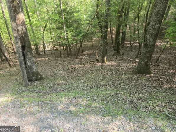0 Hart Ct, Ellijay, GA 30540