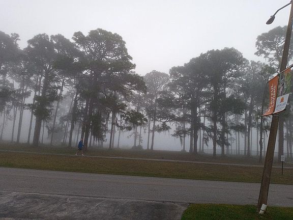 2nd image of 3837 Edgewater Dr
