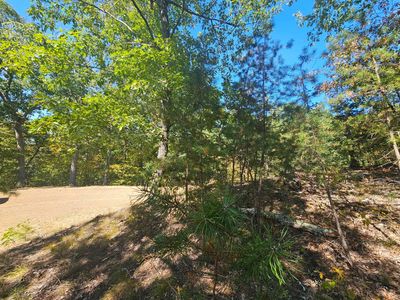 20 National Forest Dr, Milam, WV, 26838