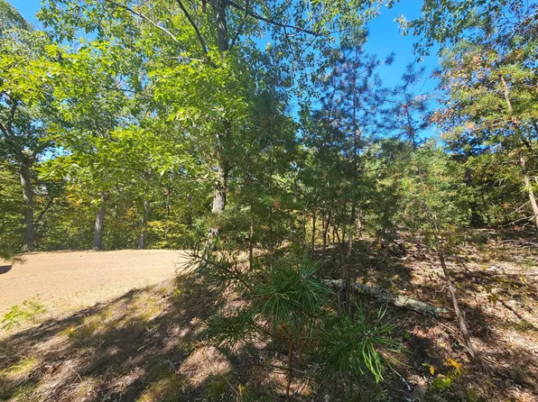 20 National Forest Dr, Milam, WV 26838