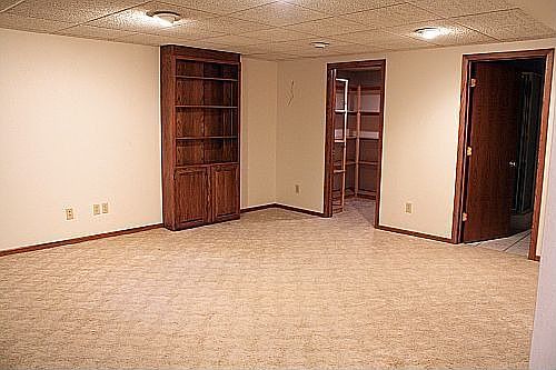 Basement family room