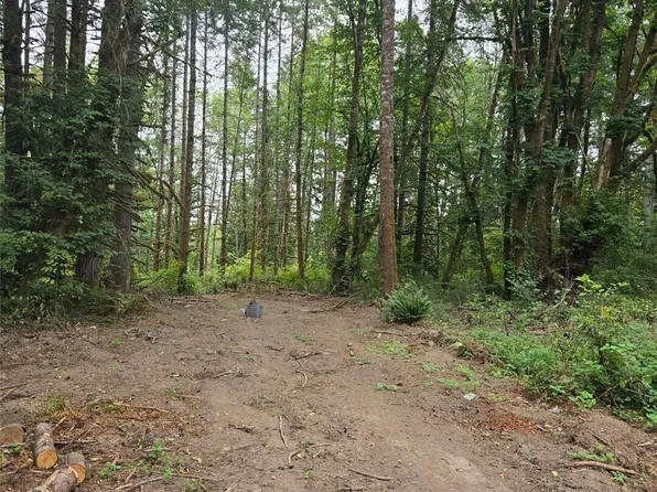 1725 Winlock Vader Road, Vader, WA 98596