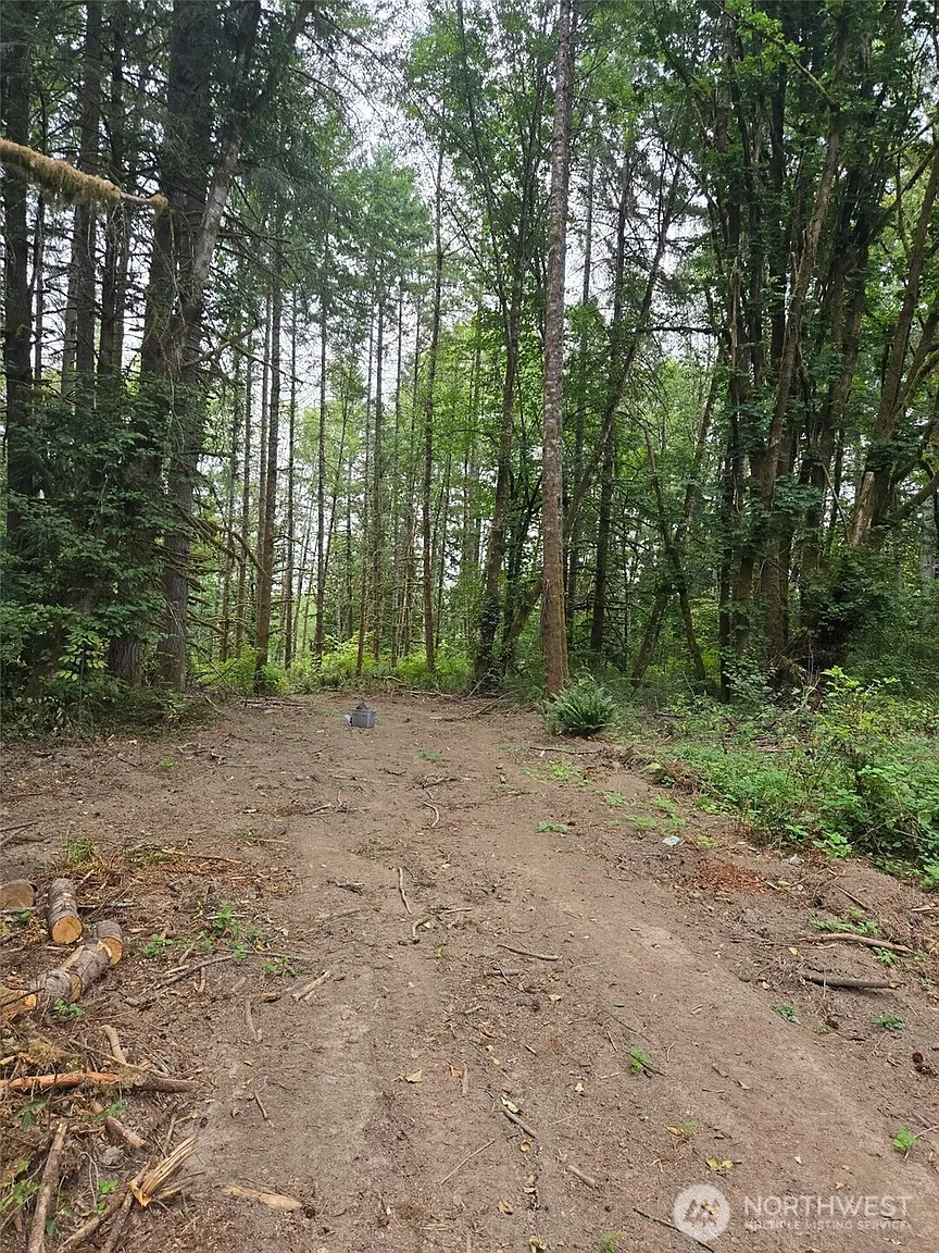 1725 Winlock Vader Road photo 1