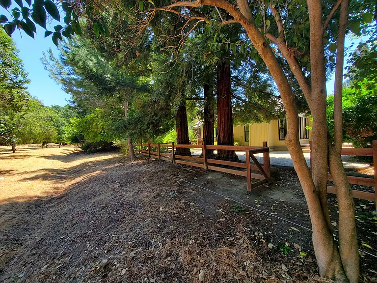 3113 Lippizaner Ln — Photo 39