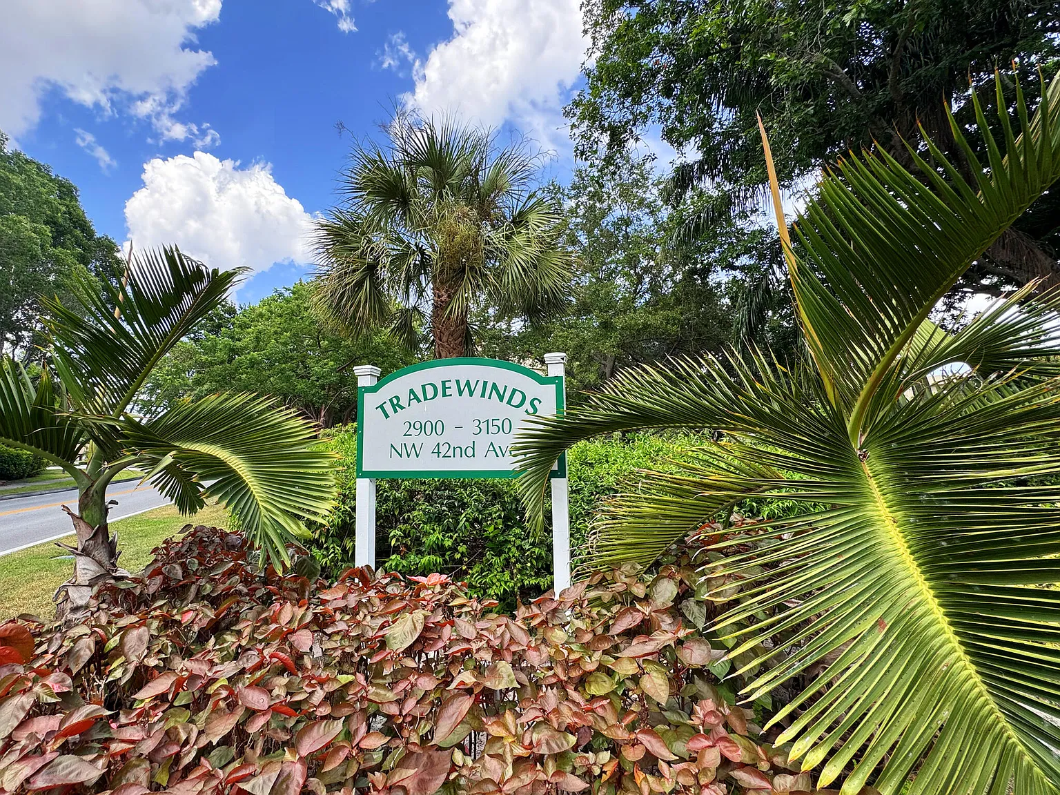 Tradewinds B — Photo 2