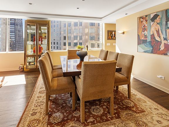 4th image of 1000 N Lake Shore Plz APT 33B