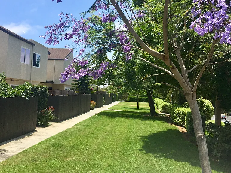 4441 Vision Dr — Photo 12