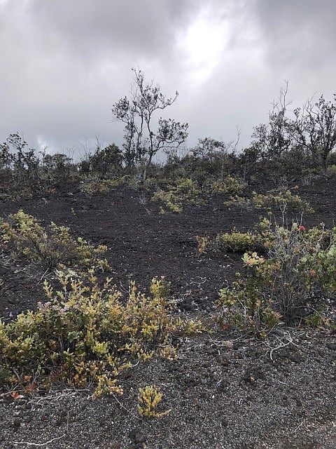 1st image of Reef Circle Mauka Lot 7