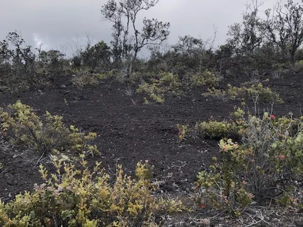 Reef Circle Mauka Lot 7, Captain Cook, HI 96704