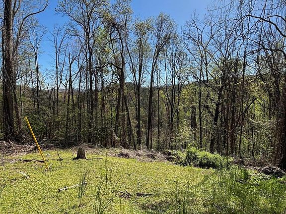 2nd image of 0 Low Gap Rd
