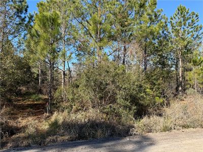 0 Elmer Thrift Rd, Waycross, GA, 31503