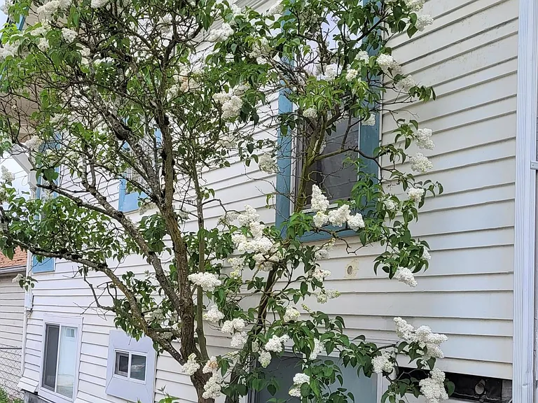 110 W Boston St — Photo 11