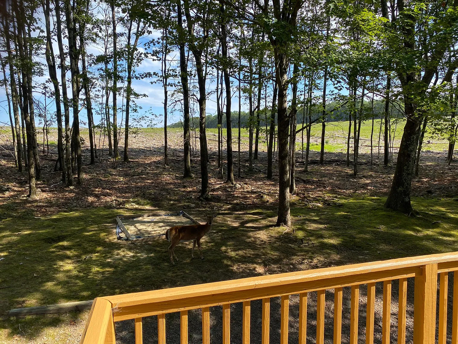 4 bed, 1900 sqft, $2,900 — Photo 4