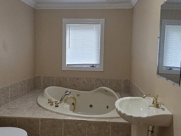 Guest Bathroom with soaking tub