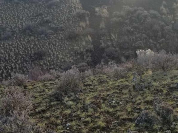 0 George Way, Yakima, WA 98901