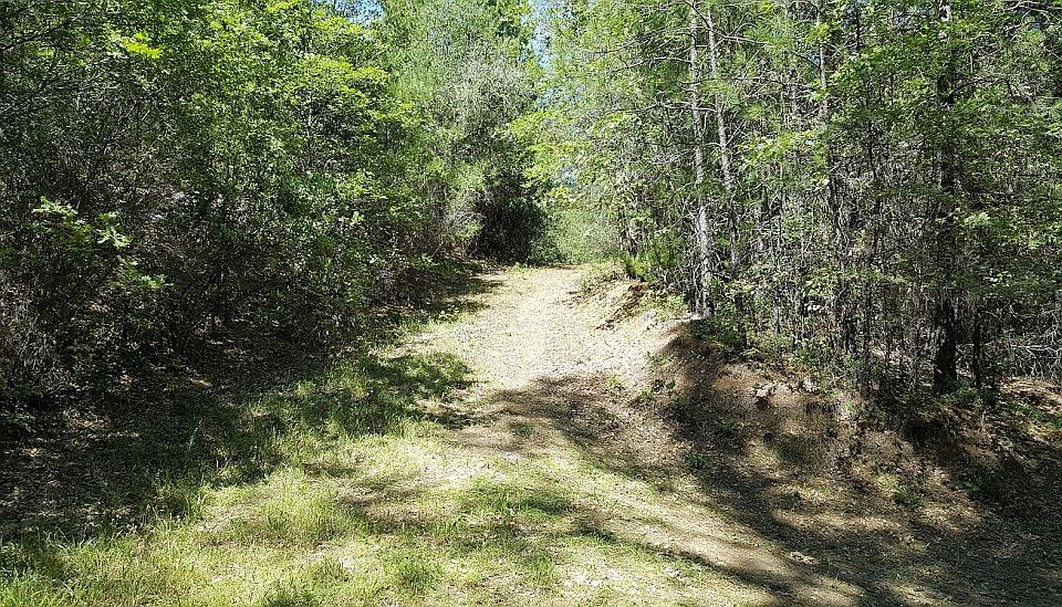 1st image of 18721 Shady Glen Rd