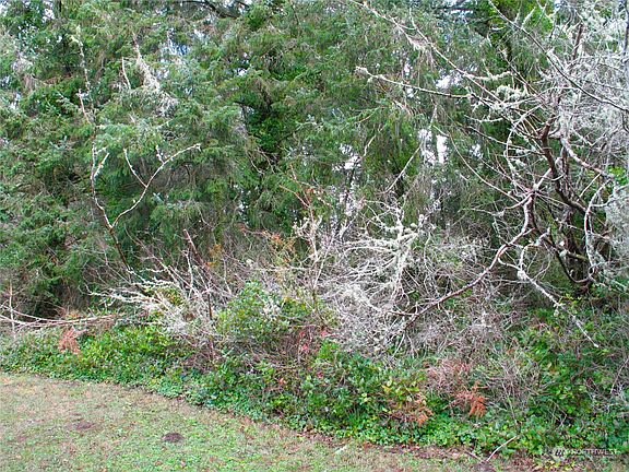 5th image of 2409 Bay Avenue