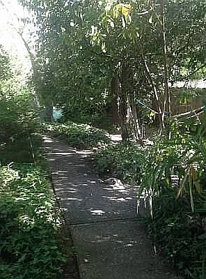 tons of sidewalk trails
