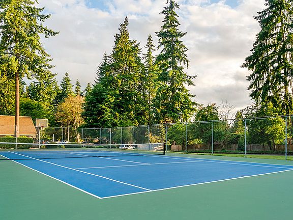 Community basketball court and tennis court surrounded by pine trees.