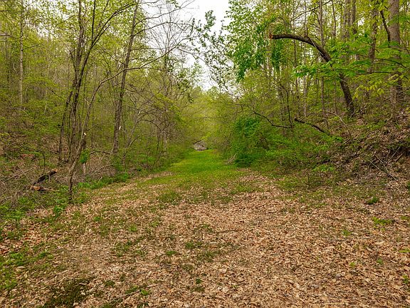 87th image of 1103 Johnny Spears Rd