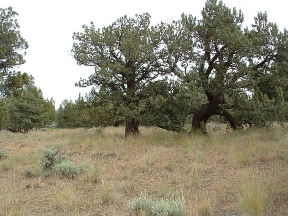 2nd image of 8490 Eagle Crest Blvd