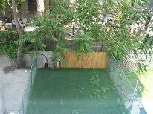 Rented by Douglas Elliman | media 23