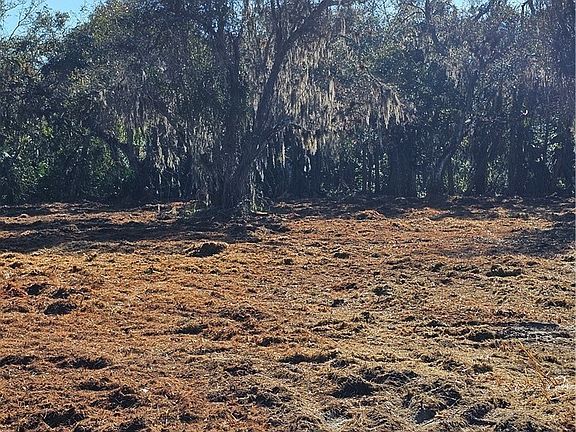 3rd image of 16470 Daughtreys Creek Rd
