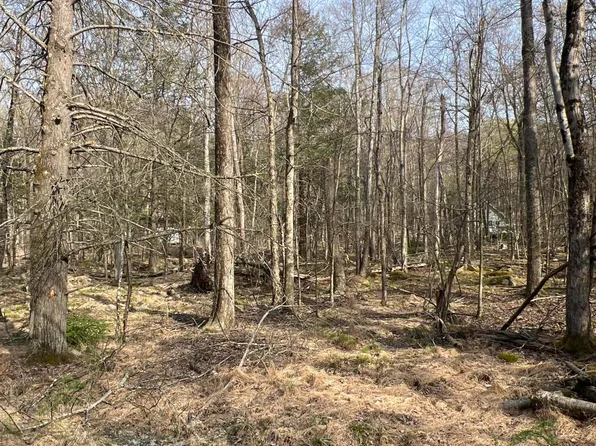 LOT 814 White Pine Dr, Pocono Lake, PA 18347