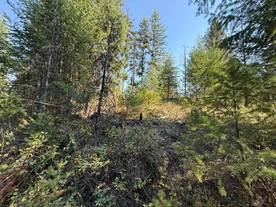 Tbd Rose Haven Cir, Republic, WA, 99166