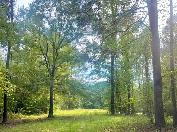 Nethery Rd, Dora, AL 35062