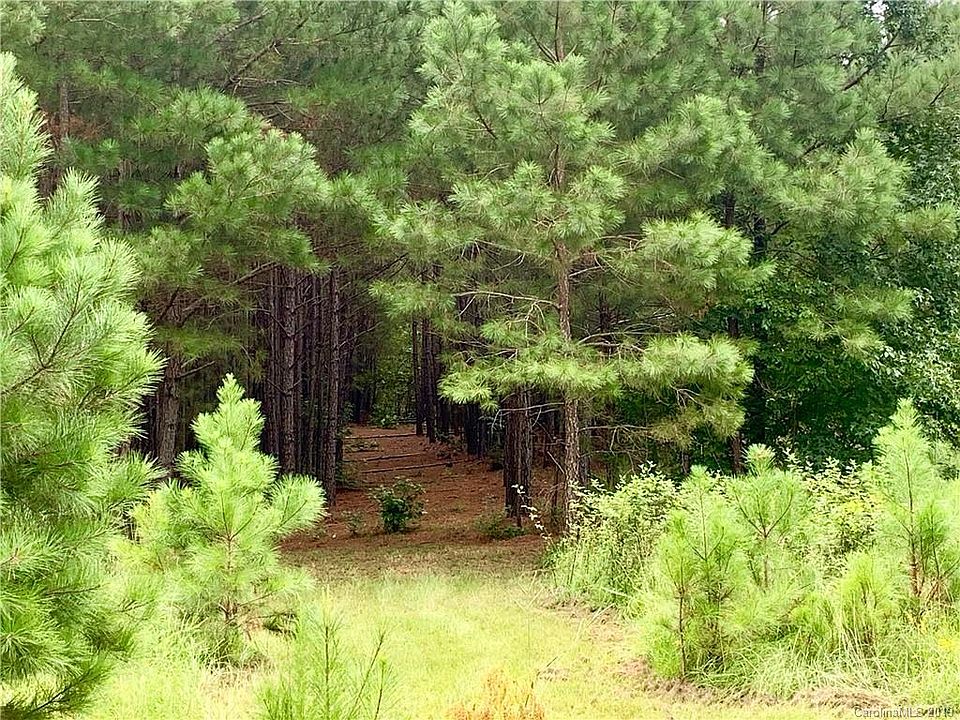 2nd image of 89 Riverbluff Ln